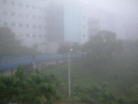 HKUST_campus 002 thumb.jpg